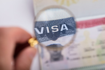 URL Directing | Avoiding Common Causes of Visa Cancellation in the UAE